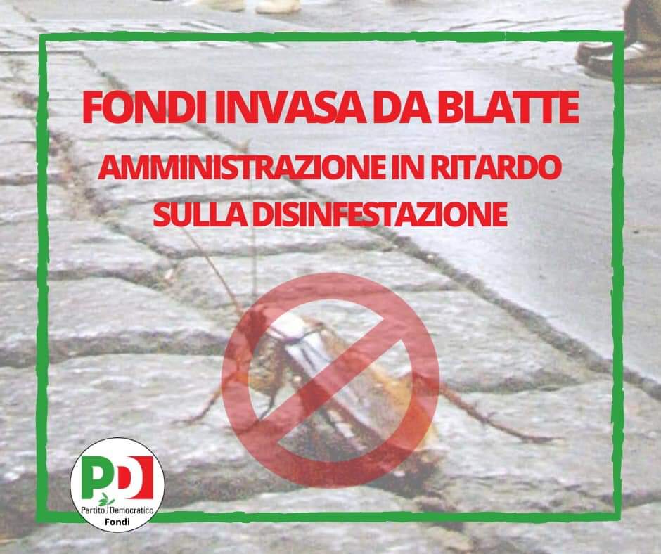 fondi-blatte-pd-disinfestazione.jpg