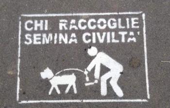 DEIEZIONI-CANINE-OVUNQUE.jpg