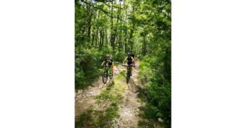 foto_MTB_Bosco.jpeg